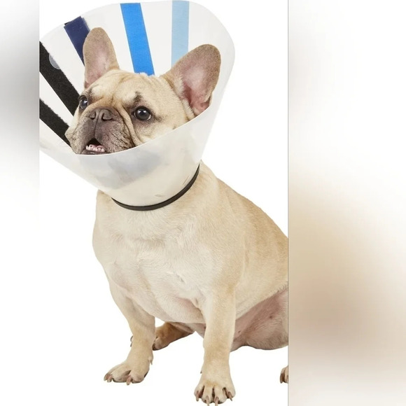 Vet One adjustable Elizabethan collar E small 9"-11" dog cat - Picture 6 of 7